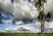 2026年中山ICP许可证办理费用详解｜申请流程、价格区间与省钱指南