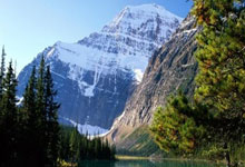 2026年东莞ICP许可证办理费用详解｜办理条件、流程与省钱指南